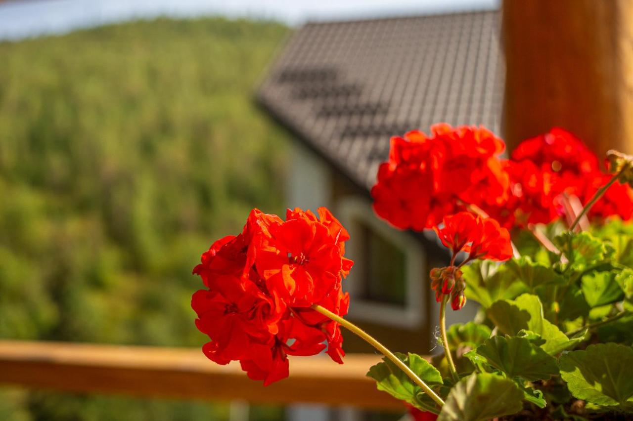 Konopka Guest House Bukovel Eksteriør bilde