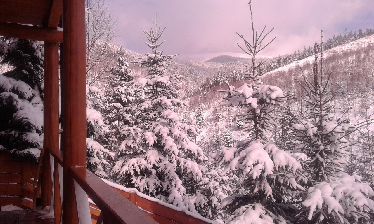 Konopka Guest House Bukovel Eksteriør bilde